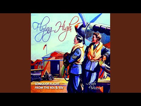 Silver Wings in the Moonlight