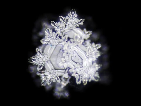 Die geheime Macht des Wassers (Doku)