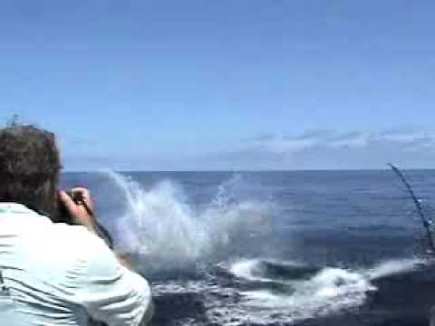 incroyable dangereuse peche a l'Espadon
