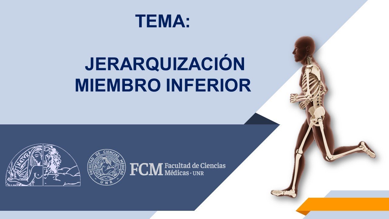 Jerarquización: Miembro Inferior. Actividad sincrónica.