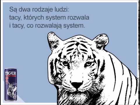 Snoopy - Te Kocie Ruchy (prod. Maupa / Singiel 2017)