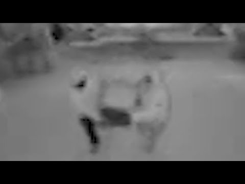 Hindu temple surveillance captures suspects stealing donation box