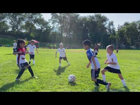 Max cup Murray Black vs El Mellindo