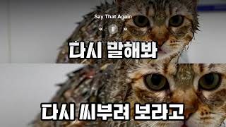 [Playlist] 소리 지르고 싶을 때 개빡칠 때 듣는 노래 🤬 세상이 날 억까할 때 듣는 참지 말고 이거 팝송 모음