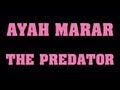 AYAH MARAR 'THE PREDATOR' 
