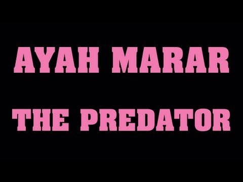 Video thumbnail for The Predator