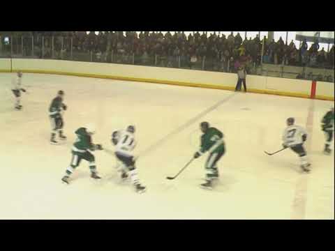 HHK Velké Meziříčí - SHKM Hodonín 4:5 (5. finále KP 2018-19) 1/4