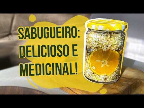 , title : 'Receita: Xarope de Flor de Sabugueiro! Fácil, delicioso e medicinal!'