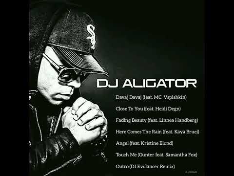 DJ ALIGATOR BEST HOUSE MUSIC S  A  2021 MIX