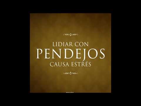 20 Frases de Sarcasmo 19