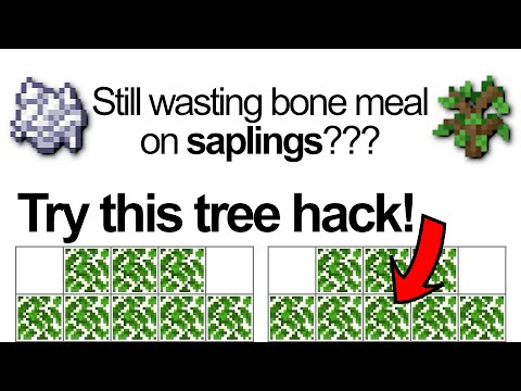 Try this Minecraft tree hack! Never plant another sapling again!