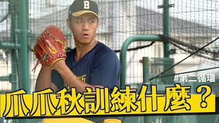 [閒聊] 爪爪秋訓