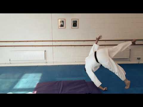 Ukemi Practice - Seiryukan Renshinkai Aikido