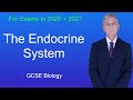 GCSE Science Revision Biology The Endocrine System