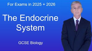 GCSE Science Revision Biology "The Endocrine System"