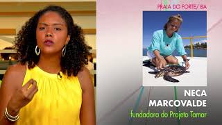 Miniatura do vídeo
