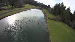preview picture of video 'McKenzie River Powered Paragliding with Snow and Lighthouses Yachats Teaser with iMovie & GoPro'
