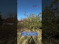 Видео превью
