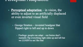 7.VII: Perceptual Interpretation