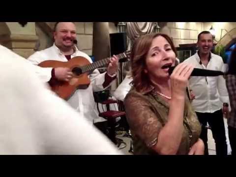 Oj Vesela Veselice - Branka Šćepanović i Beogradski Akustični Orkestar