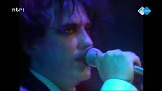 Download lagu The Cure - The Caterpillar (Glasgow 1984) mp3