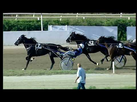 Napoli Trotto 05/09/2021 - 7ª corsa