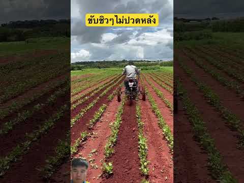 ขับชิวไม่ปวดหลัง#shorts #farming #automobile #construction #bulldozerofficial #excavator #viralvideo