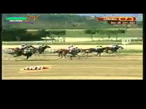 LA RINCONADA 7 CARRERA DOMINGO 25 DE MAYO DEL 2014