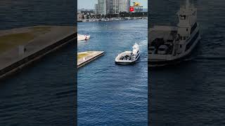 Icon Of The Seas Passing Miami's South Beach