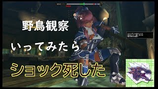 【MHF-Z実況#5】野鳥観察に行きます【トリドクレス】