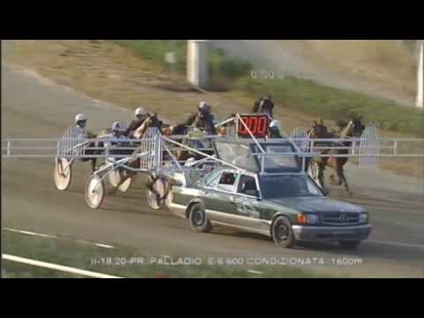 Galoppo e Trotto Corse del 27 Agosto 2016