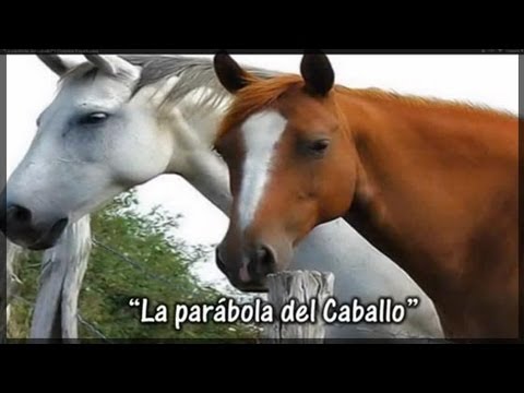 download lagu mp3 mp4 Parabola Del Caballo, download lagu Parabola Del Caballo gratis, unduh video klip Parabola Del Caballo
