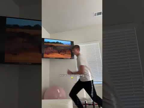 He saved a gazelle from a cheetah!?