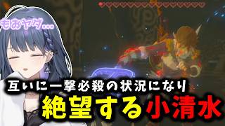【 ゼルダの伝説 ブレス オブ ザ ワイルド #11 Part3 】互いに一撃必殺の状況になり絶望する小清水【小清水透/ゼルダの伝説ブレスオブザワイルド/にじさんじ/切り抜き】