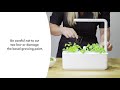 Click &amp; Grow sėklos išmaniajam vazonui - Žolelės mėsai, 9vnt.