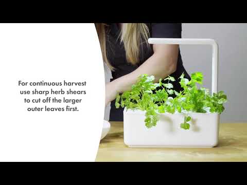 Click &amp; Grow sėklos išmaniajam vazonui - Žolelės mėsai, 9vnt. video