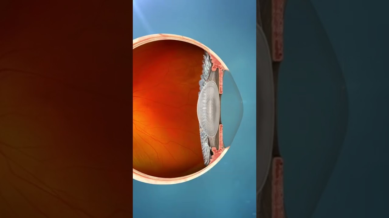 Human Eye 👀 Lens Work