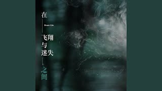 Lost Music Video