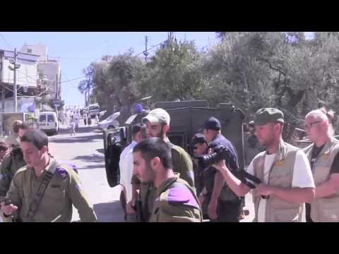 International activist arrested by Israeli border police