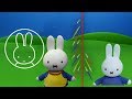 Mother Bunny Miffy Friends