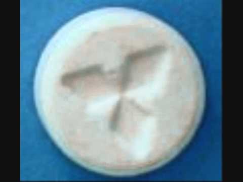 Fun Da Mentalists Ft One - World Wide Party (Hoxton Whores Full Vocal Remix)