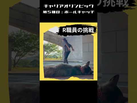 国際コミュニケーション学科 長崎外国語大学 キャリア支援課　キャリアオリンピック　第５種目：ボールキャッチ！　#NUFS　 #大学生　#長崎外国語大学