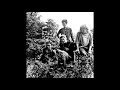 Heavenly - Itchy Chin (John Peel Session Recorded 1994-04-09)