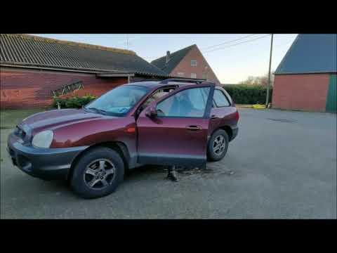 Corona Reitunterricht ist möglich