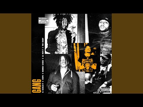 Gang (feat. Chxpo, Lil Wop17, ManMan Savage & FDM Grady)