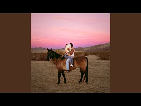 Never Kissed a Cowboy