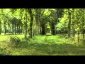 Big In Japan-Alpha Ville- 
