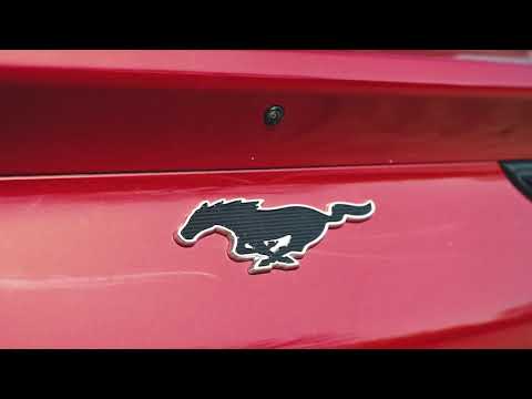 Der neue FORD Mustang | Krüll Hamburg