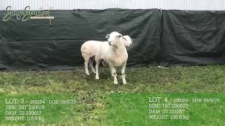 Lot 3 & 4
