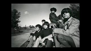 96 Tears - Question Mark &amp; the Mysterians